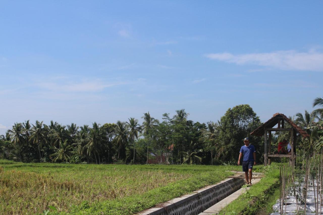 Agus Hidden Homestay - Banjar Sweet Village Banyuwangi  Exterior photo
